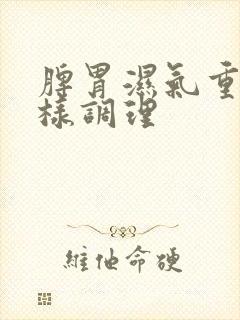 脾胃湿气重怎么样调理