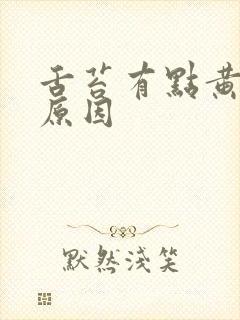 舌苔有点黄什么原因