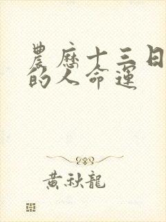 农历十三日出生的人命运封面