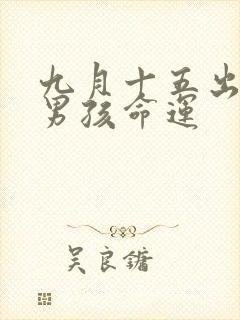 九月十五出生的男孩命运