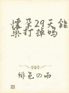 怀孕29天能吃药打掉吗