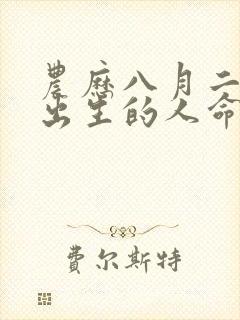 农历八月二十七出生的人命运如何