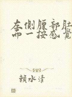 左侧腹部肚脐下面一按感觉有硬块封面