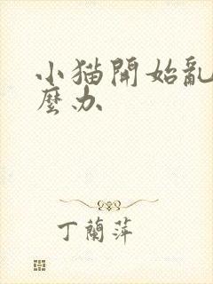 小猫开始乱尿怎么办