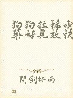 狗狗拉稀吃什么药好见效快