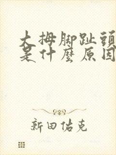 大拇脚趾头麻木是什么原因封面