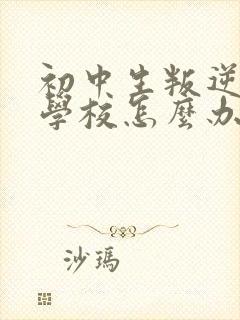 初中生叛逆不去学校怎么办封面