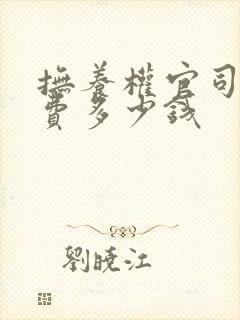 抚养权官司律师费多少钱