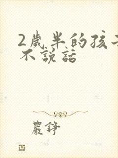 2岁半的孩子仍不说话封面