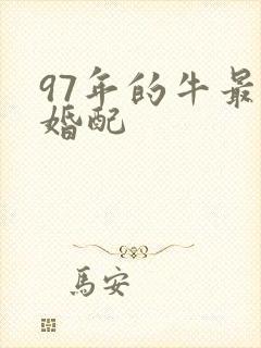 97年的牛最佳婚配