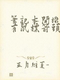 笔记本开机黑屏有鼠标箭头怎么办