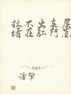 拉不出来屎一直堵在肛门怎么办封面