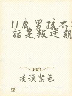 11岁男孩不听话是叛逆期吗