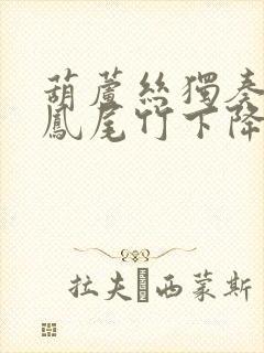 葫芦丝独奏相约凤尾竹下降b调