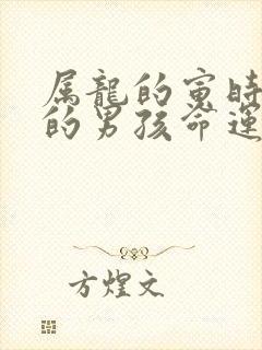 属龙的寅时出生的男孩命运