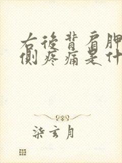 右后背肩胛骨内侧疼痛是什么原因