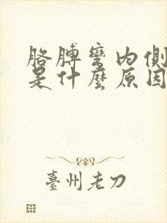 胳膊弯内侧疼痛是什么原因封面