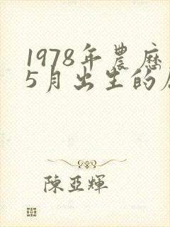 1978年农历5月出生的属马的是啥命