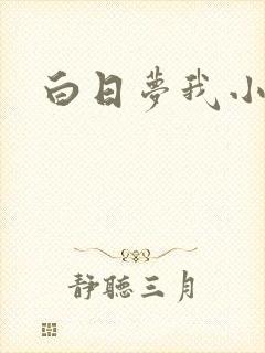 白日梦我小说