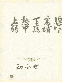 上热下寒脾胃虚弱中焦堵咋治封面