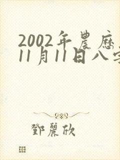 2002年农历11月11日八字算命
