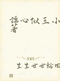 锦心似玉小说原著