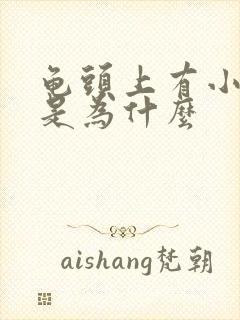 龟头上有小肉粒是为什么