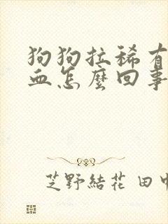 狗狗拉稀有点带血怎么回事封面