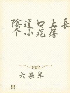 阴道口上长了一个小疙瘩