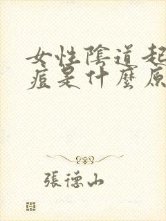 女性阴道起了痘痘是什么原因