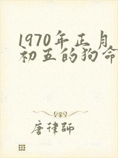 1970年正月初五的狗命运如何