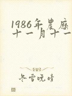 1986年农历十一月十一出生的人命运如何