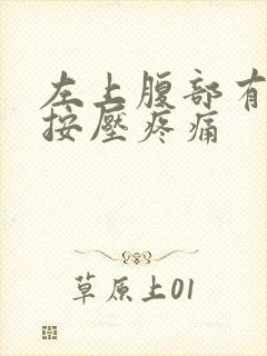 左上腹部有硬块按压疼痛