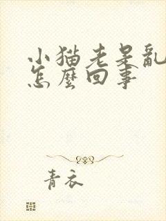 小猫老是乱尿是怎么回事封面