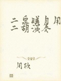 二泉映月用什么二胡演奏