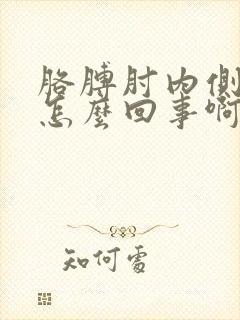 胳膊肘内侧疼是怎么回事啊