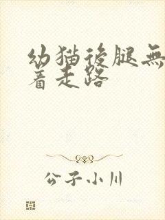 幼猫后腿无力拖着走路