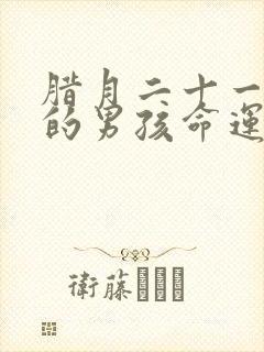 腊月二十一出生的男孩命运