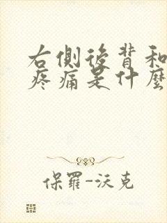 右侧后背和颈部疼痛是什么原因封面