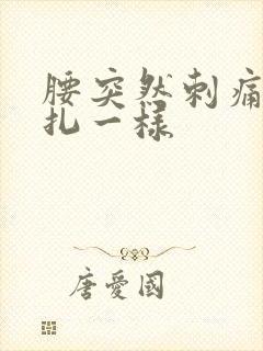 腰突然刺痛感针扎一样