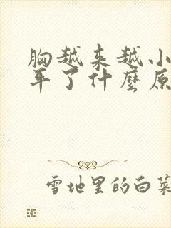 胸越来越小都快平了什么原因