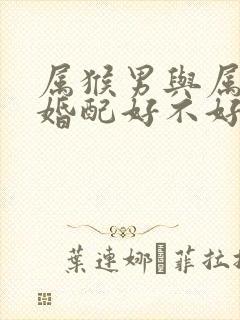 属猴男与属狗女婚配好不好