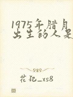 1975年腊月出生的人是什么命