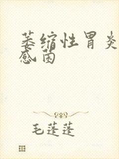 萎缩性胃炎幽门感菌