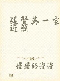 张赞英一家三口近照封面