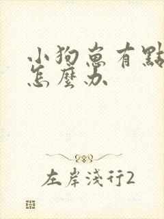 小狗崽有点拉稀怎么办