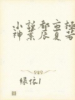 小说都市极品医神叶辰夏若雪免费阅读封面