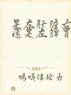 是左肝胆右脾胃还是左脾胃右肝胆