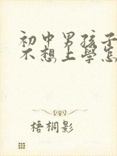 初中男孩子叛逆不想上学怎么办封面