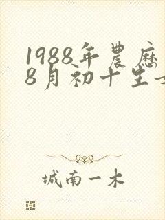 1988年农历8月初十生女命如何